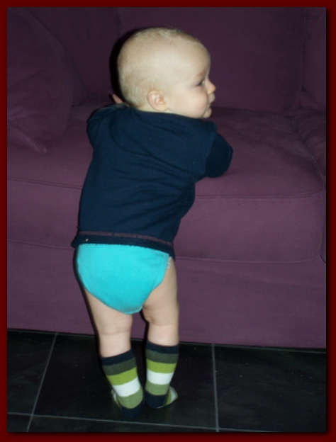 449x598 pixels (143K)